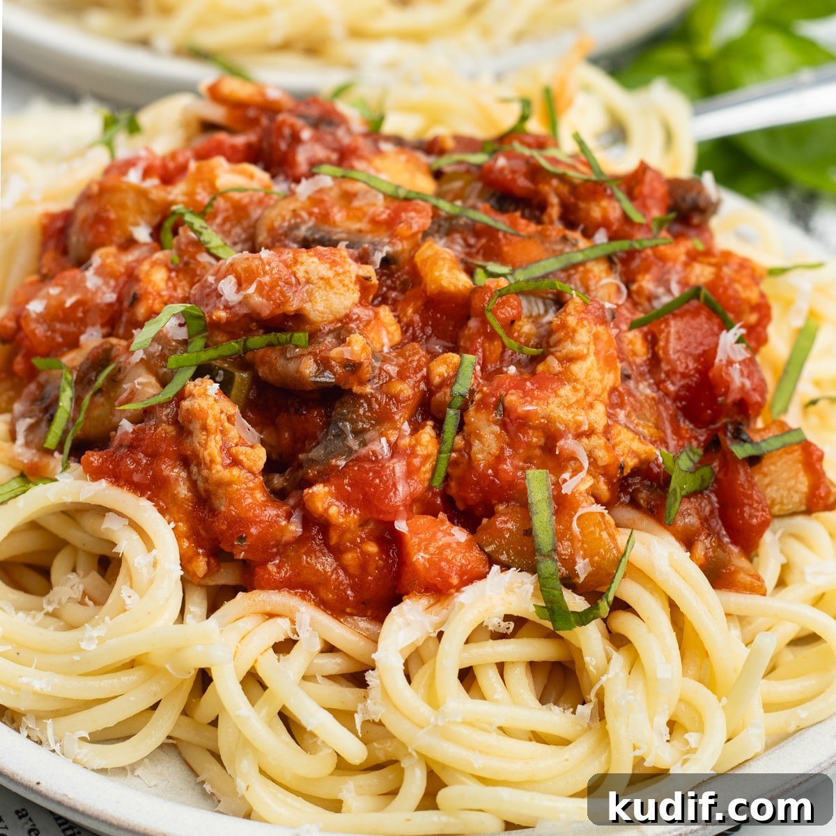 This is a square picture of ground chicken spaghetti.