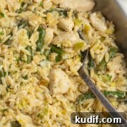 This is a square picture of the chicken boursin orzo in a skillet.