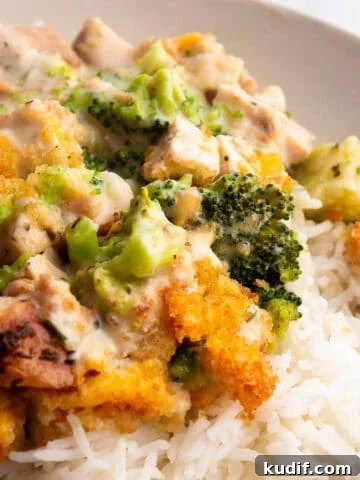 A plate with rice topped with a creamy cheese sauce, broccoli and leftover turkey.