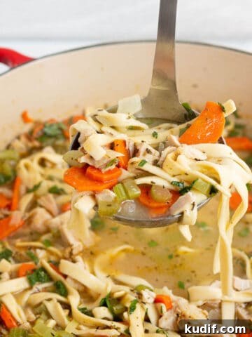 A ladle scooping out soup from a Dutch Oven.