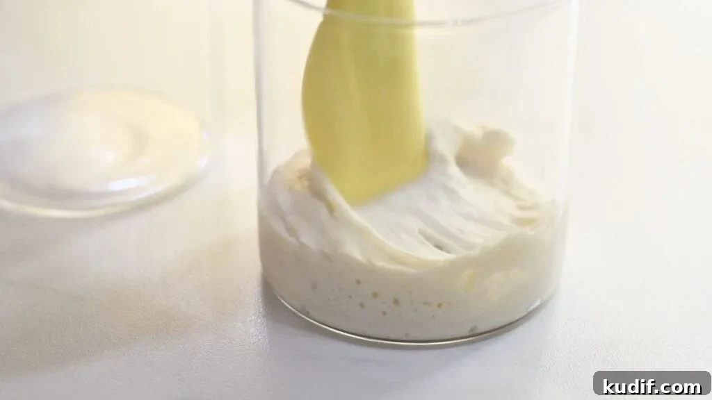 How to Make a Sourdough Starter: Step-by-Step Guide for Beginners 7 Step by step process of making sourdough starter