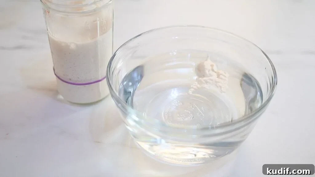 How to Make a Sourdough Starter: Step-by-Step Guide for Beginners 8 how to know your starter is ready to use