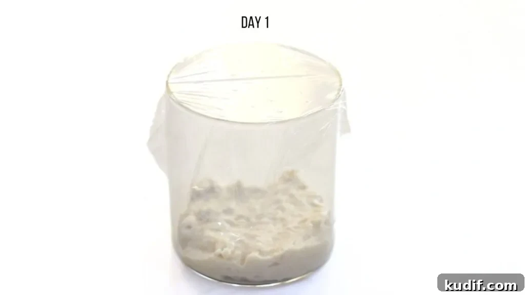 How to Make a Sourdough Starter: Step-by-Step Guide for Beginners 5 easy sourdough starter recipe
