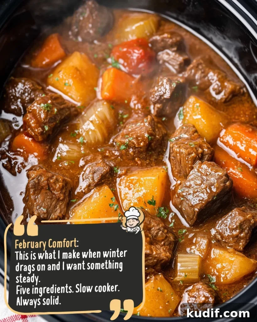 Slow-Cooker 5-Ingredient Beef Stew: Classic Comfort Recipe 3 img 7966 2