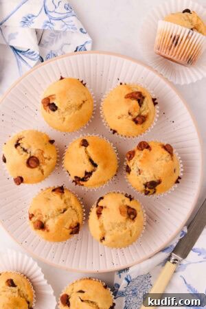7 gluten free chocolate chip muffins arranged in a circle on a white plate with black speckles, with a blue and white napkin and a bone-handled knife.