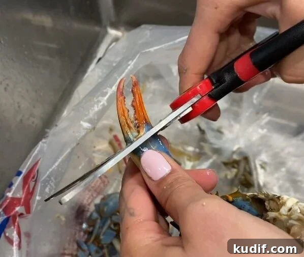 Spicy Korean Yangnyeom Gejang: Marinated Raw Crab Recipe 11 make cracks for marinade
