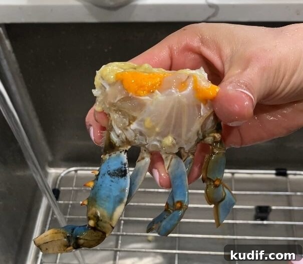 Spicy Korean Yangnyeom Gejang: Marinated Raw Crab Recipe 12 prepared crab halves