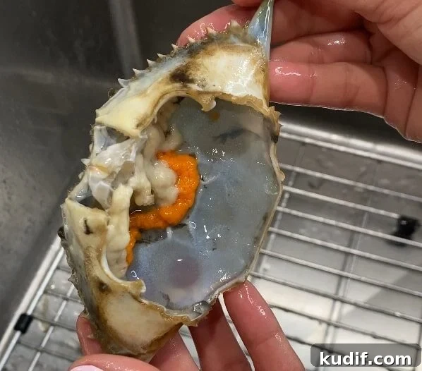 Spicy Korean Yangnyeom Gejang: Marinated Raw Crab Recipe 13 collect roe and fat