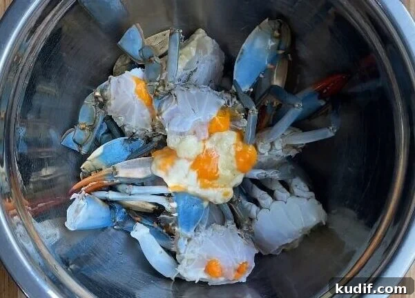 Spicy Korean Yangnyeom Gejang: Marinated Raw Crab Recipe 14 final cleaned crab