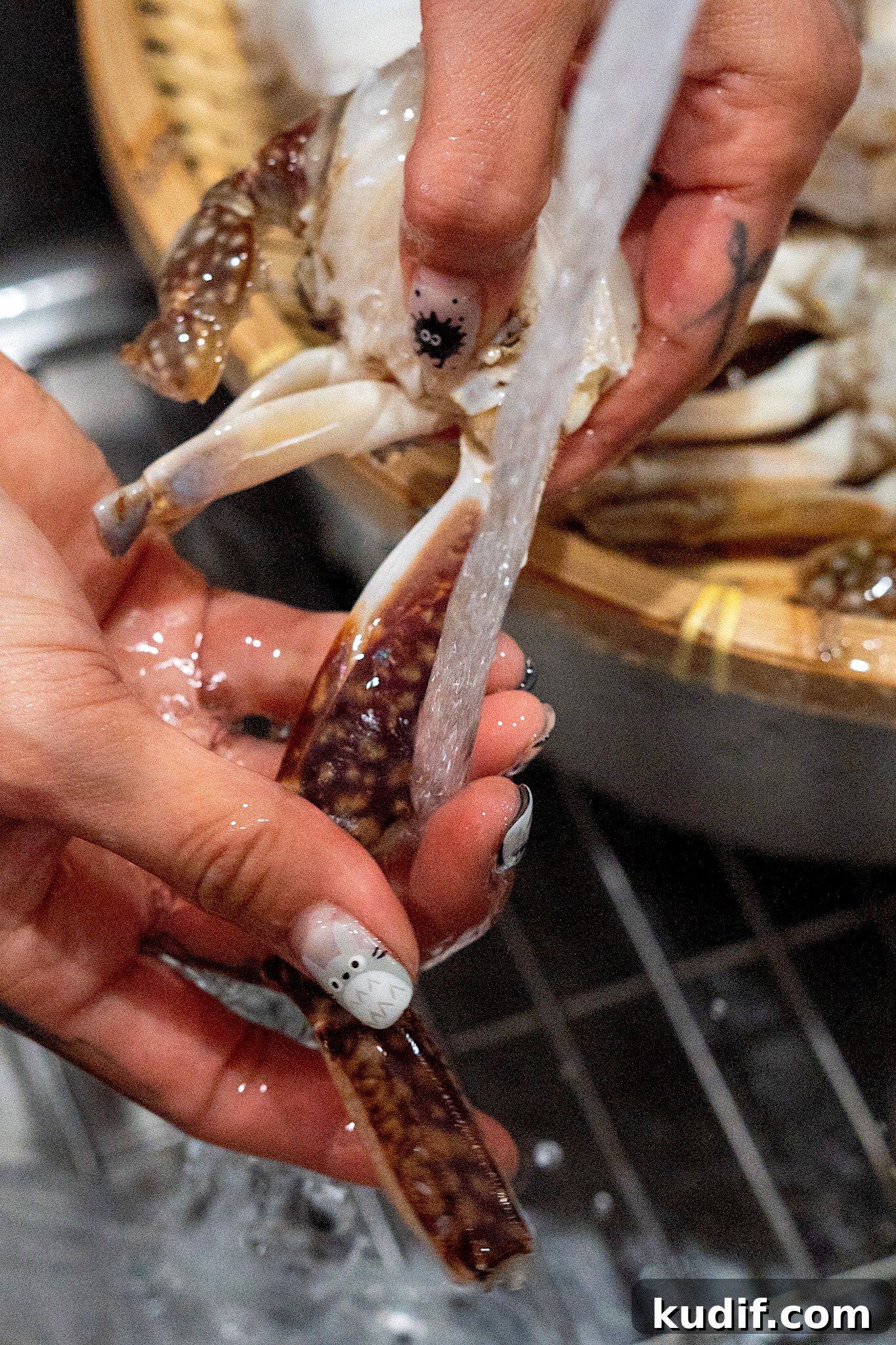 Spicy Korean Yangnyeom Gejang: Marinated Raw Crab Recipe 17 rinse and drain crab