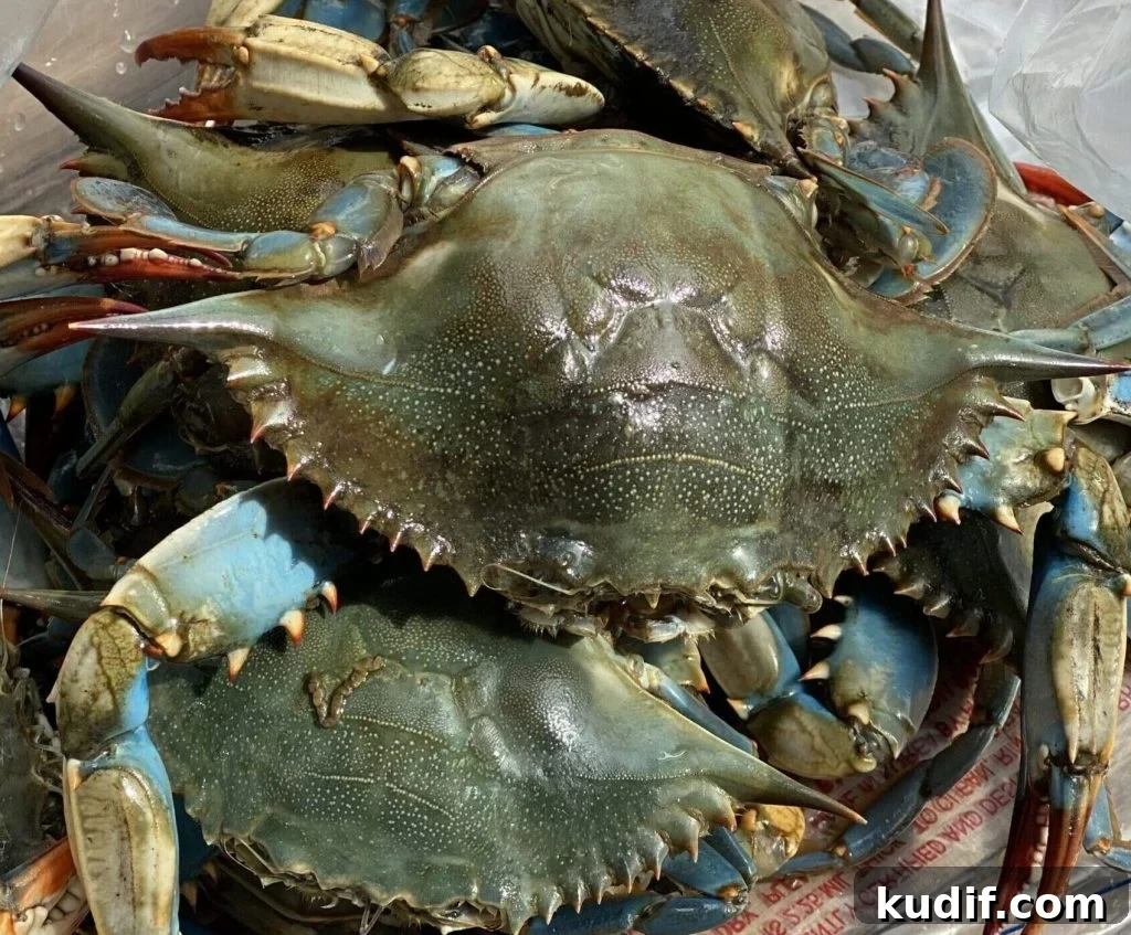 Spicy Korean Yangnyeom Gejang: Marinated Raw Crab Recipe 4 crabs chilling