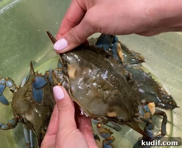 Spicy Korean Yangnyeom Gejang: Marinated Raw Crab Recipe 7 remove shell