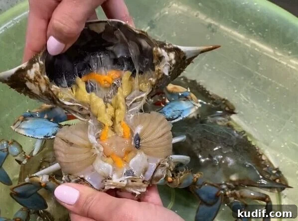 Spicy Korean Yangnyeom Gejang: Marinated Raw Crab Recipe 8 crab parts