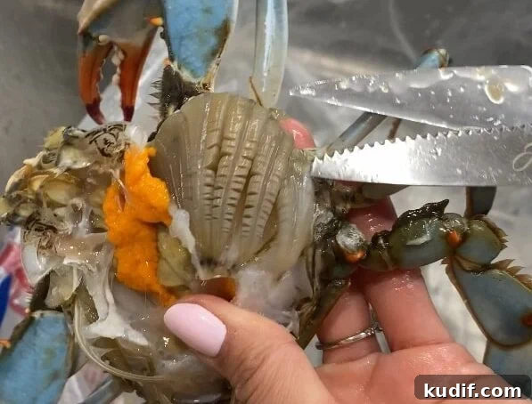 Spicy Korean Yangnyeom Gejang: Marinated Raw Crab Recipe 9 remove gills