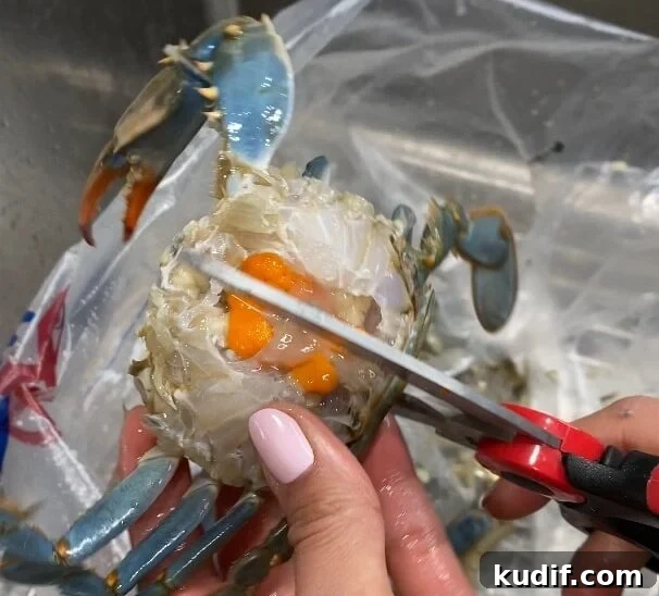 Spicy Korean Yangnyeom Gejang: Marinated Raw Crab Recipe 10 cut crab