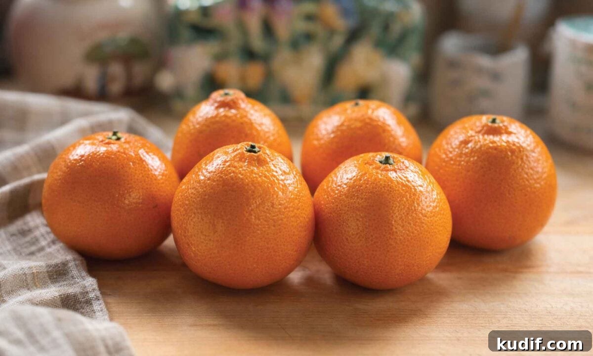 Tangerine Peel Tonic and Sweetmeats: Step-by-Step Homemade Recipes 2 img 87191 1