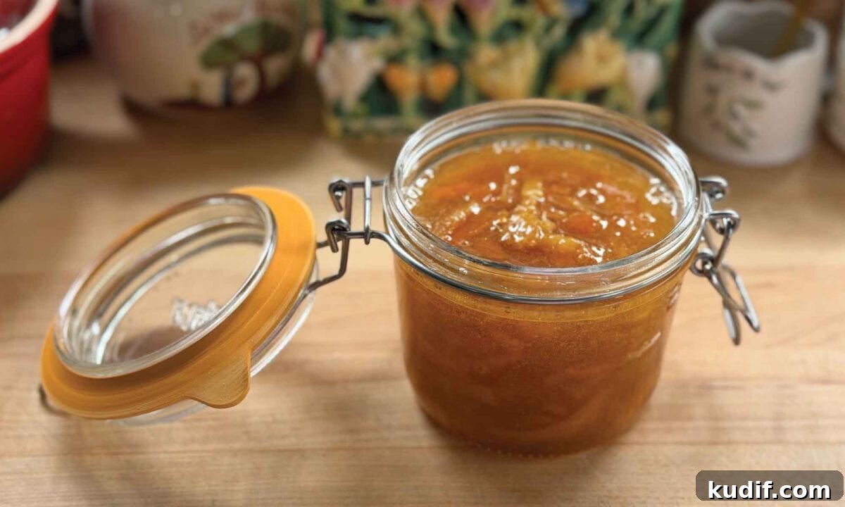Tangerine Peel Tonic and Sweetmeats: Step-by-Step Homemade Recipes 11 img 87191 10