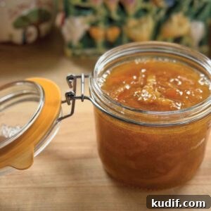 Tangerine Peel Tonic and Sweetmeats: Step-by-Step Homemade Recipes 21 img 87191 20