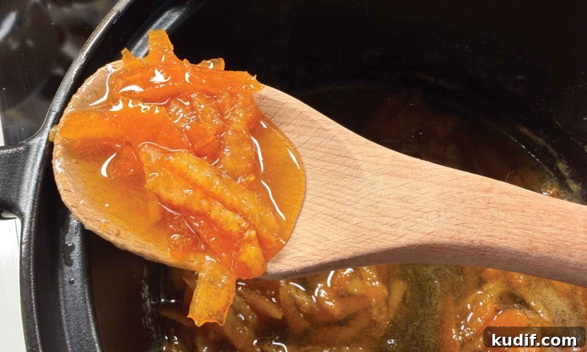 Tangerine Peel Tonic and Sweetmeats: Step-by-Step Homemade Recipes 9 img 87191 8