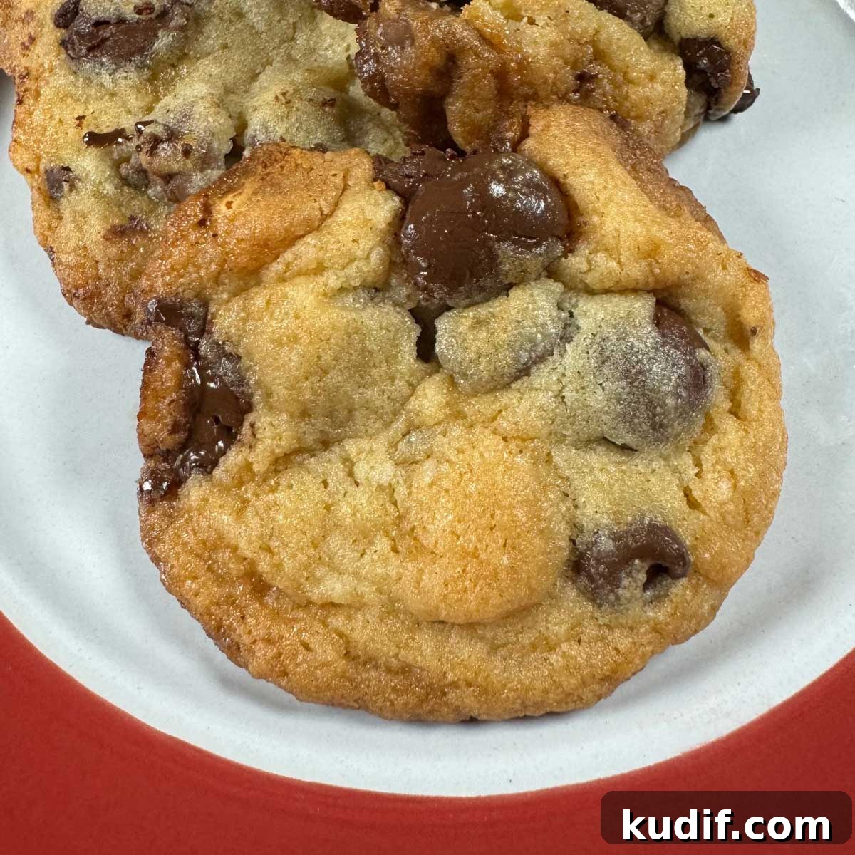 Double Malt Chocolate Chip Cookies Recipe for Rich, Chewy Cookies 2 Chocolate Chip Cookies with malt powder