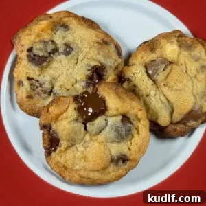 Double Malt Chocolate Chip Cookies Recipe for Rich, Chewy Cookies 5 Malted Chocolate Chip Cookies