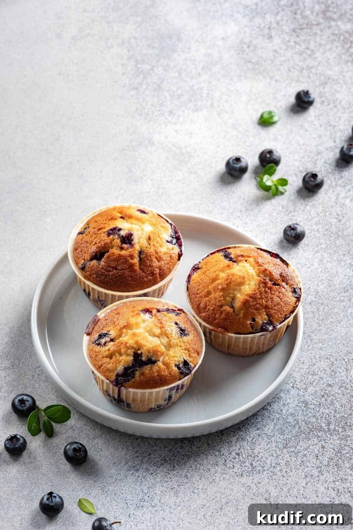 perkins blueberry muffins on a plate perkins blueberry muffins on a plate