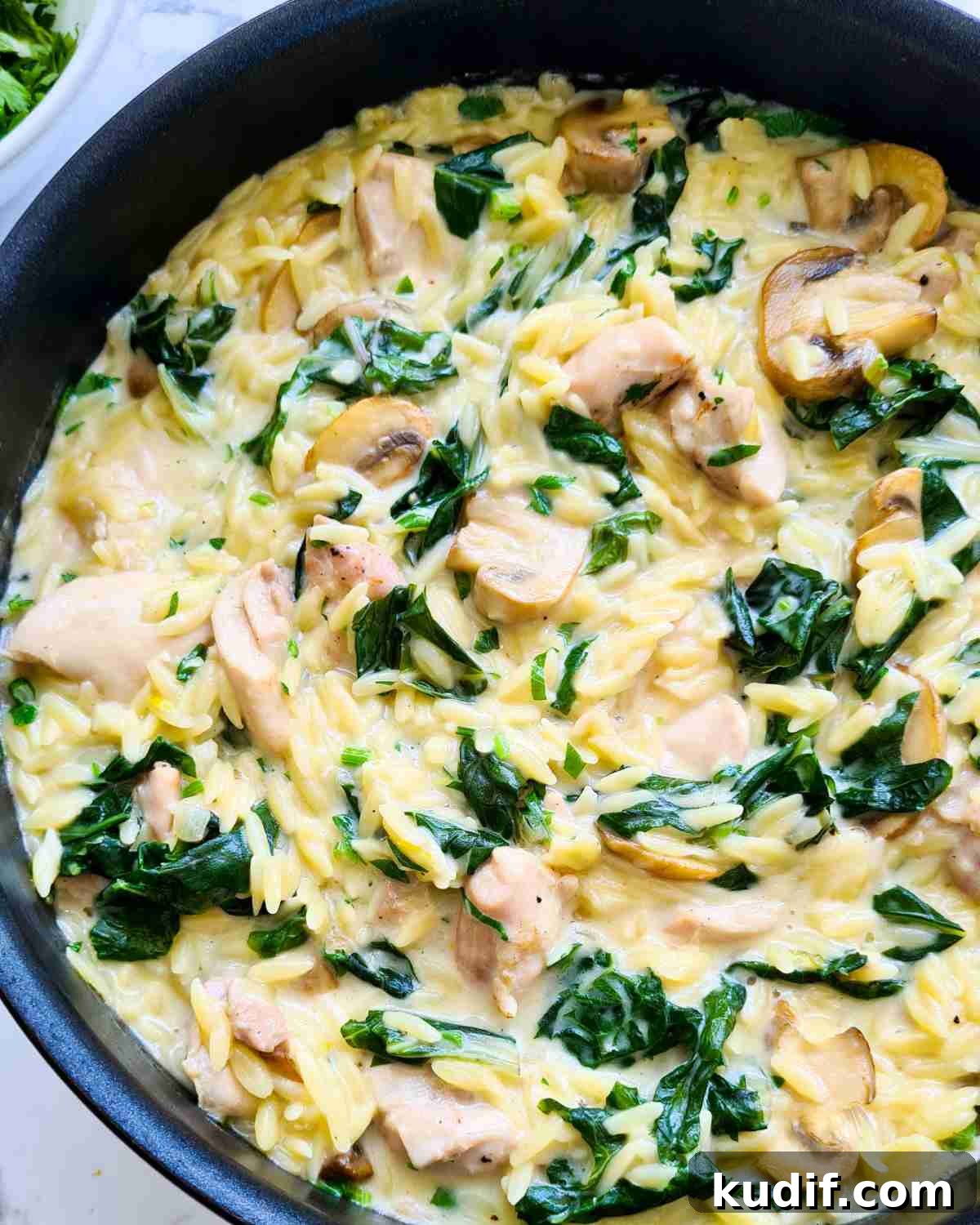 Creamy Chicken and Orzo Skillet Recipe 2 Close up of creamy orzo with chicken, mushrooms and spinach