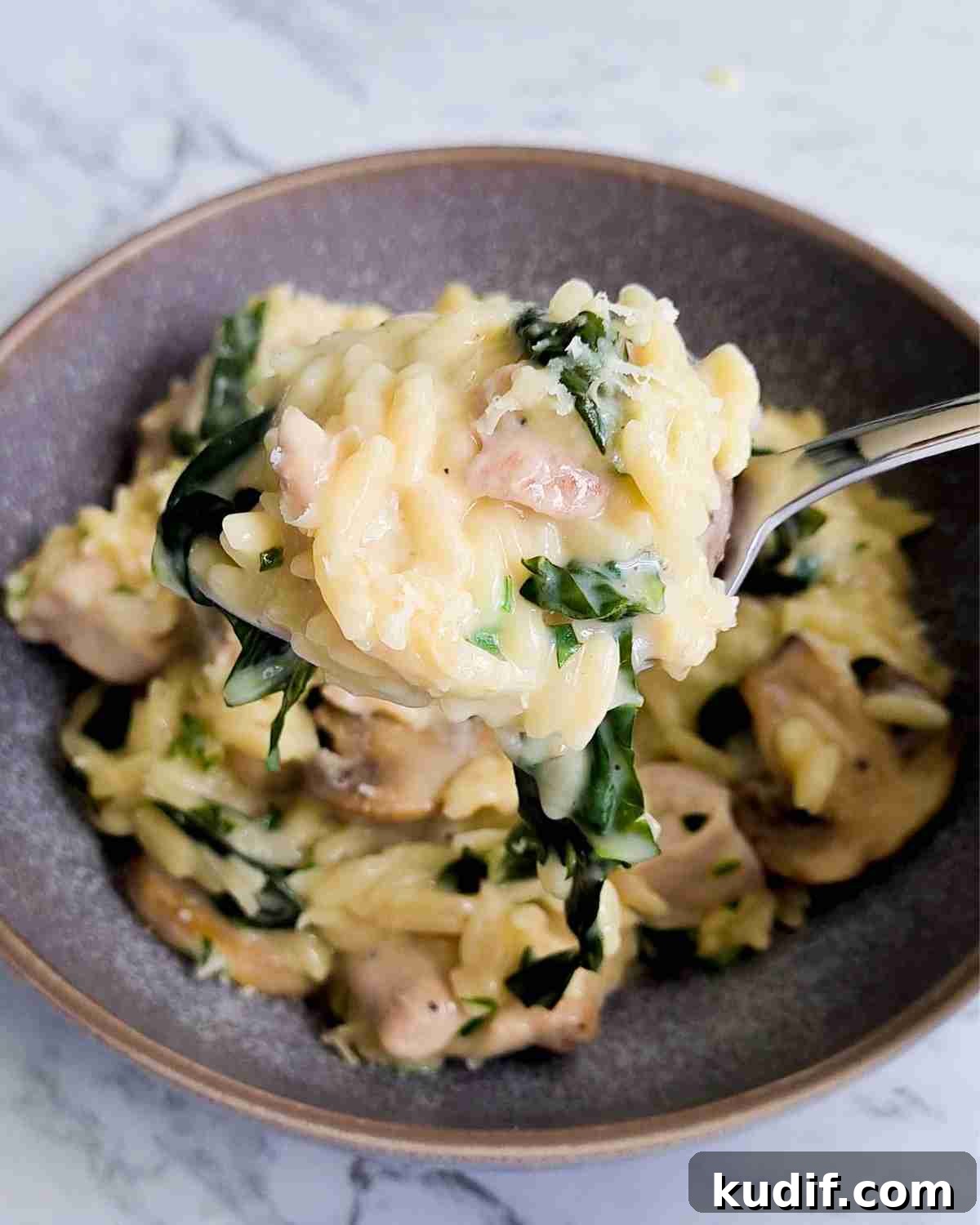 Creamy Chicken and Orzo Skillet Recipe 13 A heaped spoonful of creamy pasta over a bowl