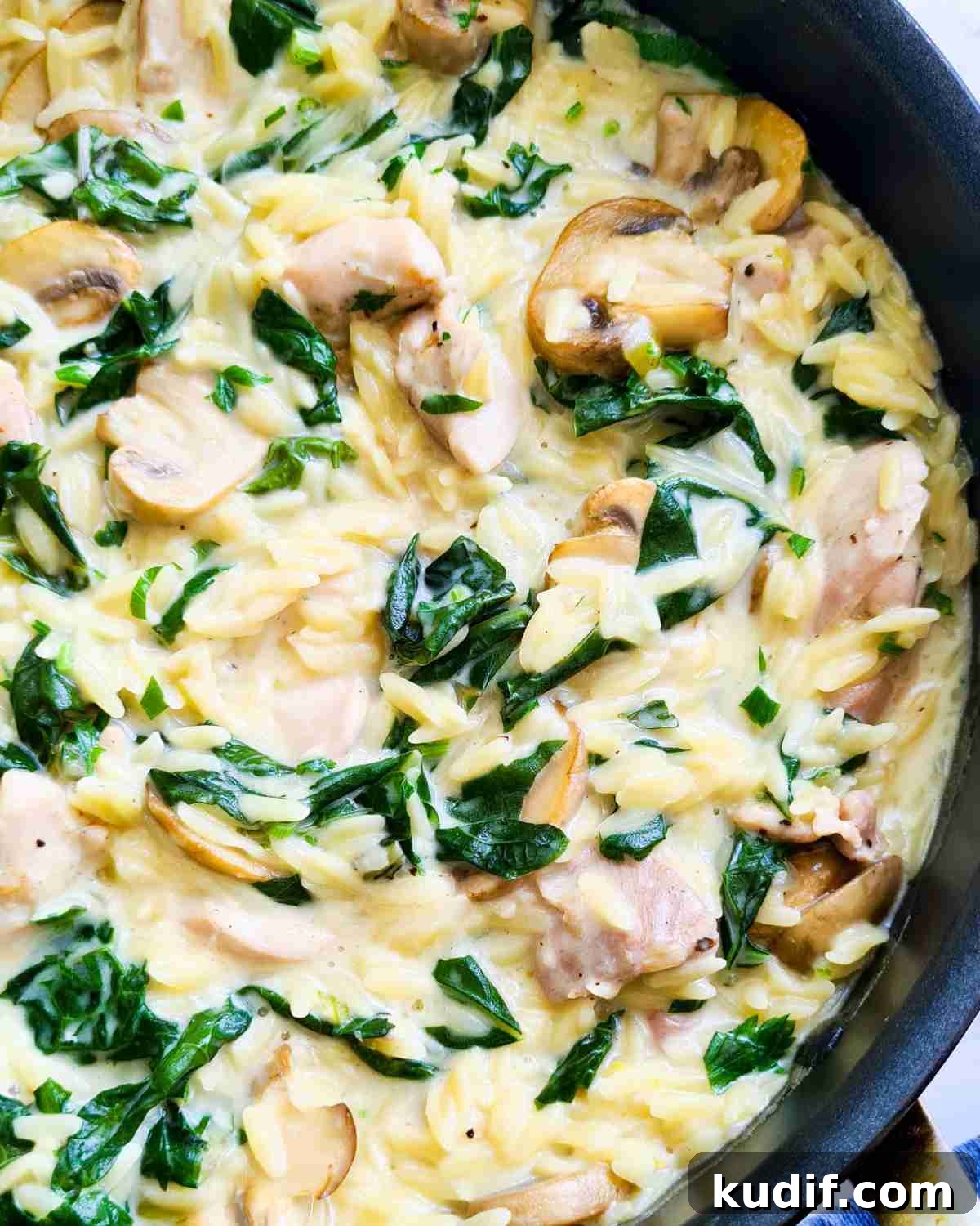 Creamy Chicken and Orzo Skillet Recipe 14 Close up of a pan of of creamy chicken orzo pasta, silverbeet and mushrooms