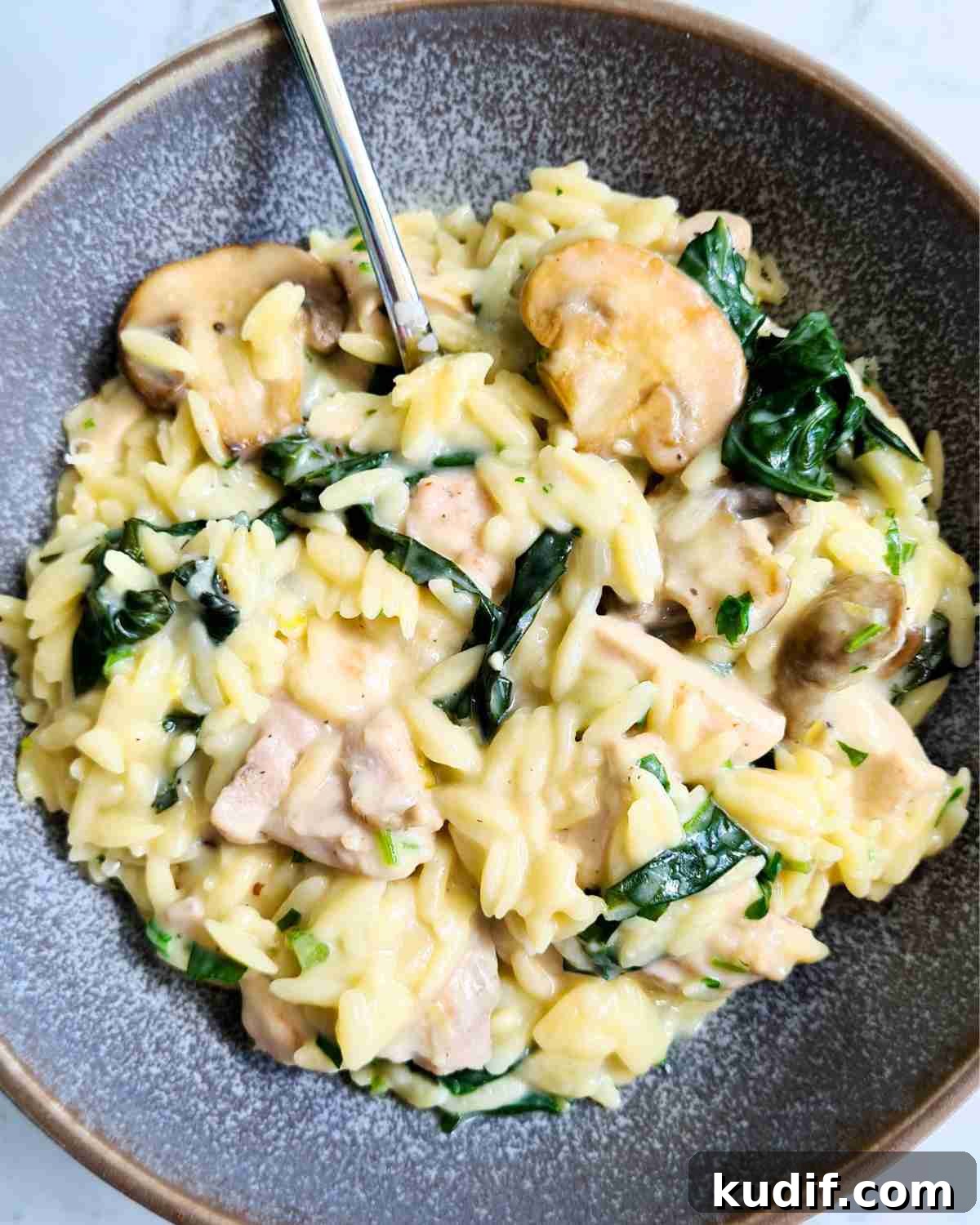 Creamy Chicken and Orzo Skillet Recipe 15 Close up bowl of creamy chicken orzo with a spoon