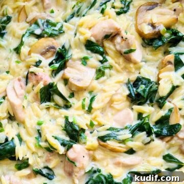 Creamy Chicken and Orzo Skillet Recipe 16 Close up of creamy chicken orzo with mushrooms and silverbeet